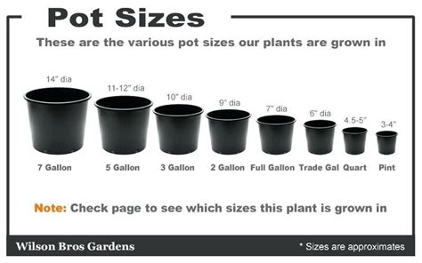 Nursery Pot Size Chart Flower Pot Sizes