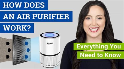 Do Air Purifiers Actually Work Homeknowledges