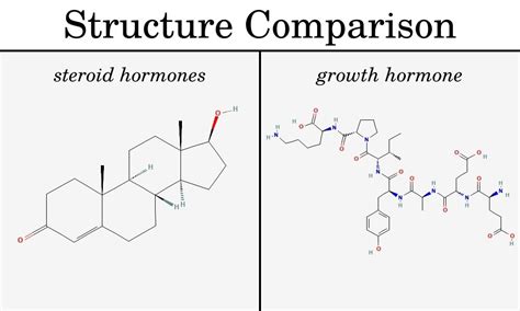 Why HGH Is Not A Steroid 3 Main Differences Best HGH Doctors