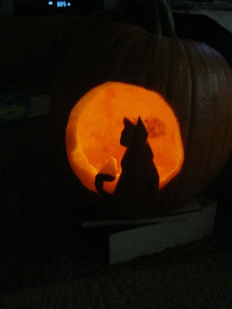 Cat Sitting In A Pumpkin Carved Into Pumpkin Cat Pumpkin Carving