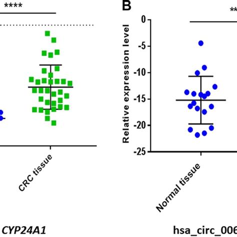 The Relative Expression Levels Ct Of Cyp A And Hsa Circ