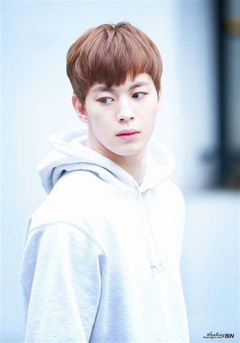 힐링빈 on Twitter Vixx Vixx hongbin Korean singer