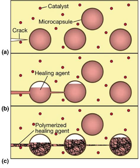 Schematic Representation Of The Self Healing Mechanism Reported A