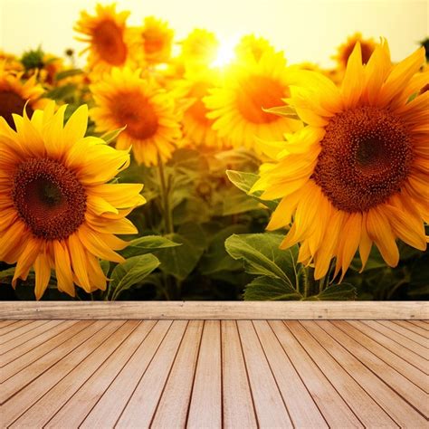 Sunflower Wall Mural Etsy