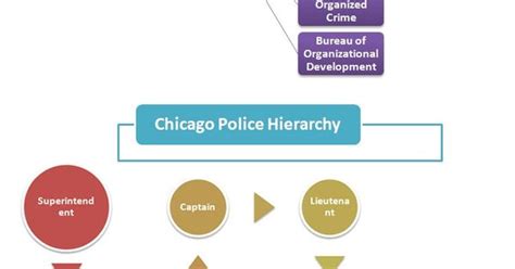 Chicago Police Hierarchy Police Hierarchy Pinterest Chicago And