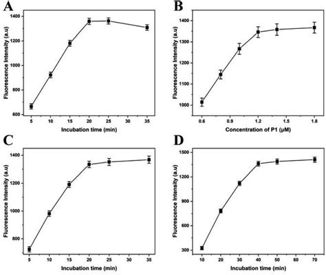 Optimization Of Digestion Time Of Lambda Exonuclease A Concentration