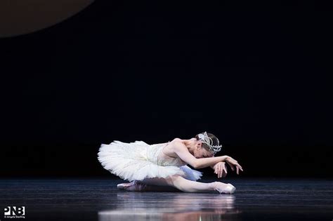 Laura Tisserand In Kent Stowell S Swan Lake