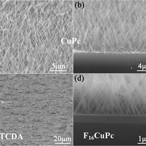 A B Sem Images Of Cupc Nw Arrays Grown On The Au Coated Sio Si