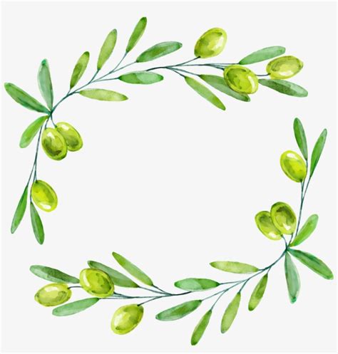 Watercolor Olive Branch Png Decorative Leaf Border Png Png Image