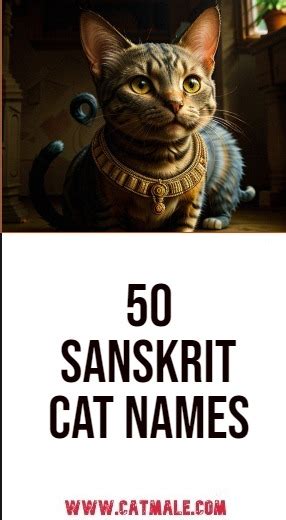 60 Serengeti Cat Names Finding The Perfect Name For Your Feline Friend