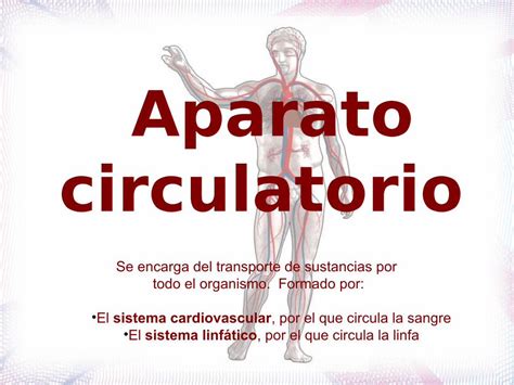 PDF Tema 5 Anatomía y fisiología del aparato circulatorio DOKUMEN TIPS