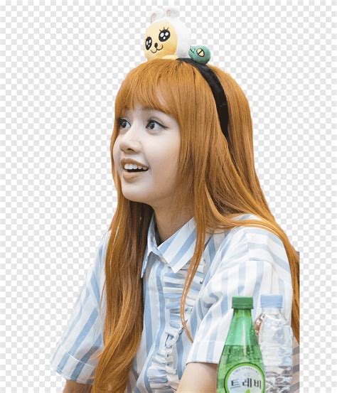 Descubrir 96 Imagen Lisa Blackpink House Viaterramx