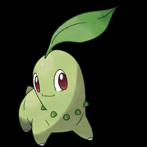 0252 Chikorita Female Beta By 666hawk666 On Deviantart