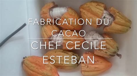 Fabrication Du Cacao Youtube