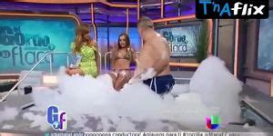 Maria Elisa Camargo Bikini Scene In El Gordo Y La Flaca Tnaflix