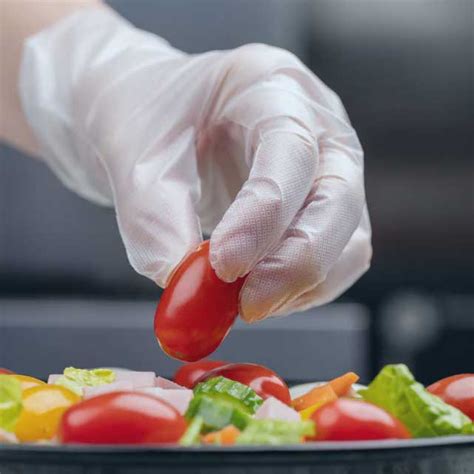 Food Preparation Gloves Careppe