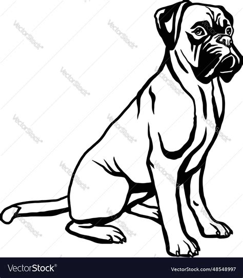 Boxer - dog breed funny dog file detailed Vector Image