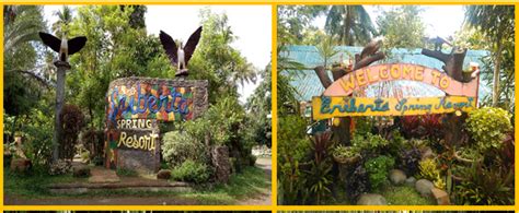 Eriberta Spring Resort Official Website Of Lgu Mahayag