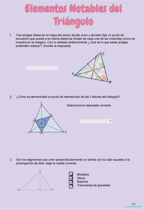 Elementos Notables Del Triángulo Ficha Interactiva Topworksheets