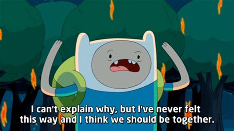 Animated Meme Adventure Time Finn S