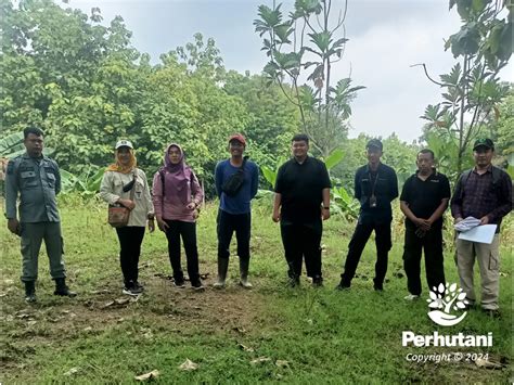 Perhutani Perhutani Bersama Dlh Provinsi Jawa Tengah Monitoring Kerja