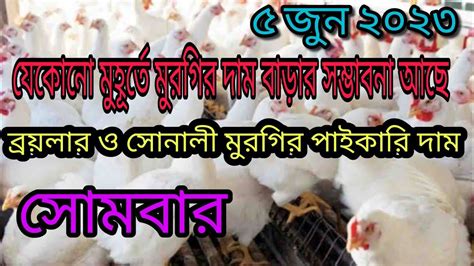 আজকের ব্রয়লার ও সোনালী মুরগির পাইকারি দাম Youtube