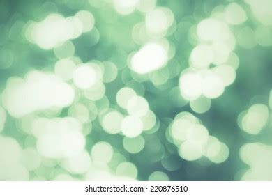 Blurred Forest Background Stock Photo 220876510 | Shutterstock