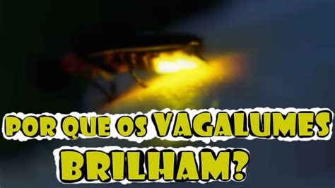 Como Os Vagalumes Brilham Youtube