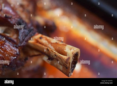 Lamb Shoulder Bone Perspective Stock Photo Alamy