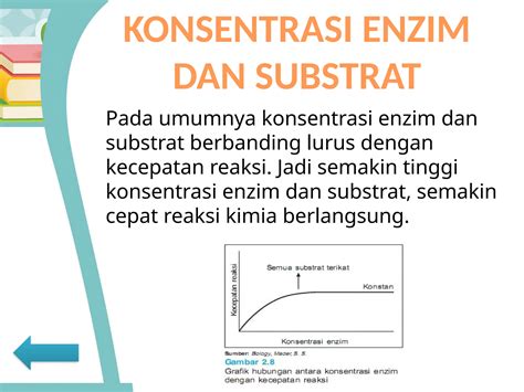 METABOLISME ENZIM Materi Kelas Xii Pptx