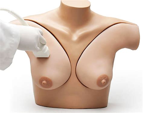 Gaumard Breast Phantom Simulator Prática Brasil