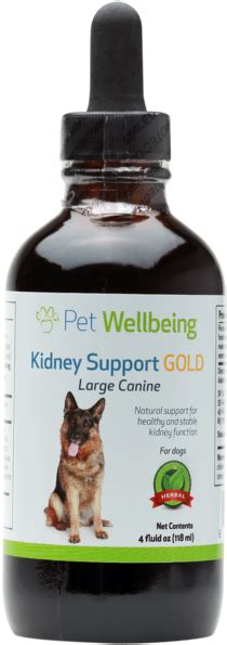 Download Kidney Support Gold For Dogs And Cats Pet Wellbeing Kidney