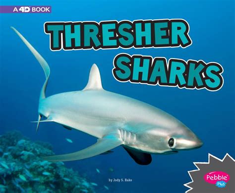 All About Sharks Thresher Sharks A 4d Book Paperback