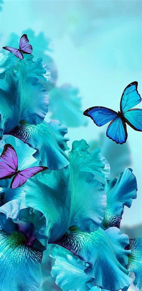 1366x768px 720p Free Download Teal Orchids Bonito Blue Butterflies Butterfly Floral