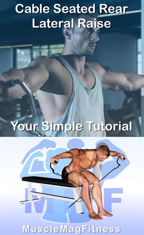 Cable Seated Rear Lateral Raise Your Simple Tutorial