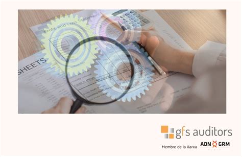 AUDITORIA DE SISTEMAS GFS Auditores Asociados