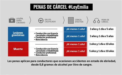 Estado De Ebriedad ¿qué Es Y Cómo Se Determina