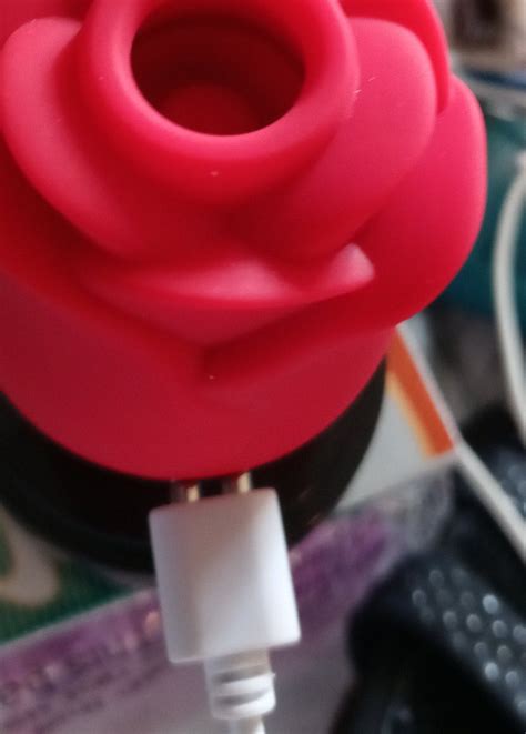 Rose Vibrating Personal Massager Dual Action 10 Speed Etsy