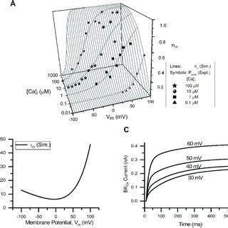 KDR Channel A Voltage Dependence Of Steady State Activation N 1