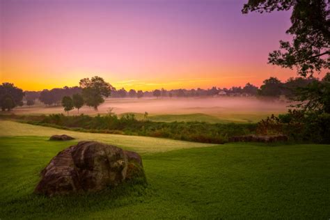 Pine Island Country Club - Womens Golf Day