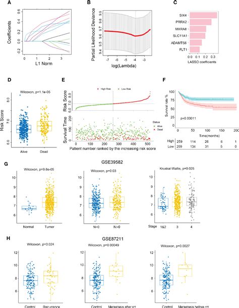 Frontiers Mxra Is An Immune Relative Prognostic Biomarker Associated