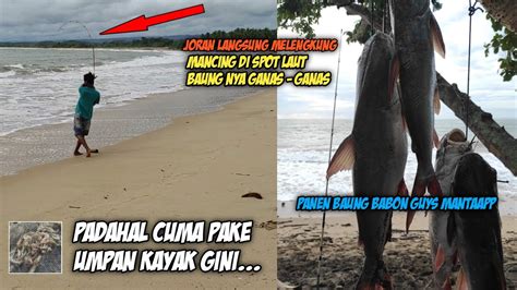 MANCING IKAN BAUNG DI SPOT LAUT PAKE UMPAN KAYAK GINI DAPET NYA BABON