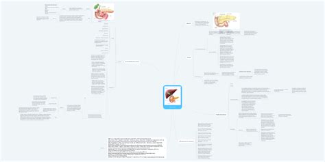 Páncreas Mindmeister Mapa Mental