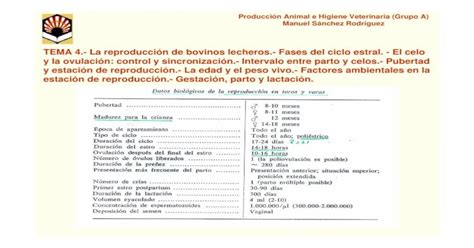 Tema La Reproducci N De Bovinos Lecheros Fases Del