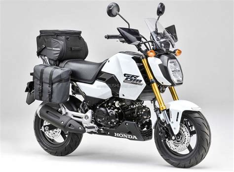 2024 Honda Grom 125 Debuts Fresh New Look Updated Accessories Kit