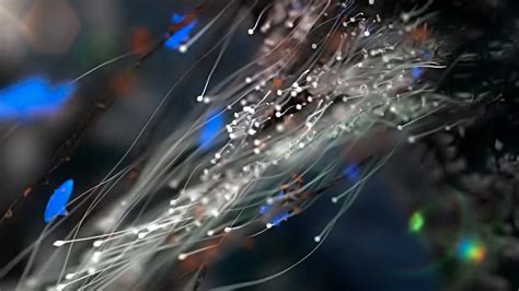 X Particles Cinema 4D S Most Powerful Particle System Creative Dojo