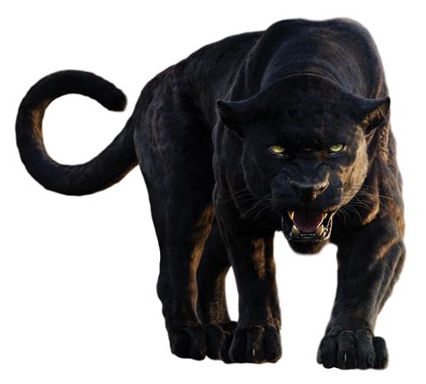 Panther Png Images Transparent Free Download