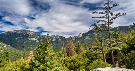 Things To Do In Idyllwild California