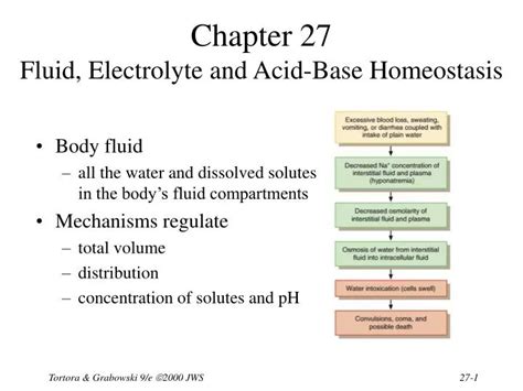 Ppt Chapter Fluid Electrolyte And Acid Base Homeostasis