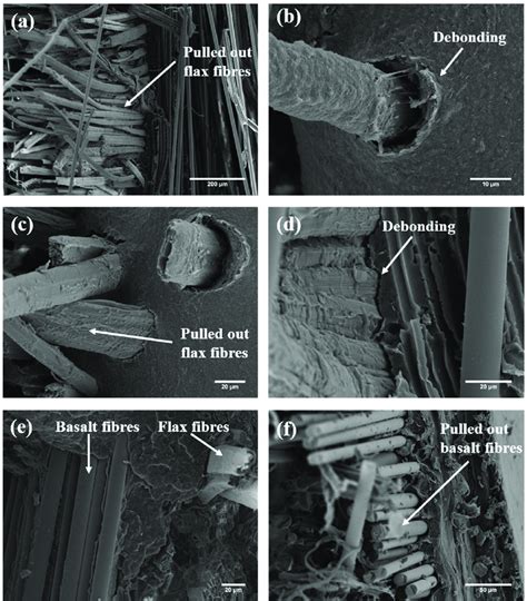 Sem Micrographs Of Failed Flexural H Pp Specimens At Different